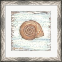 Framed 'Ocean Snail' border=