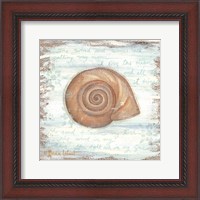 Framed 'Ocean Snail' border=