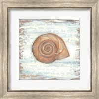 Framed 'Ocean Snail' border=