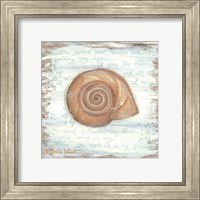 Framed 'Ocean Snail' border=