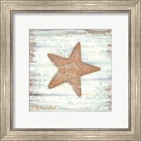 Framed 'Ocean Starfish' border=