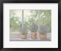 Framed Lavender Pots