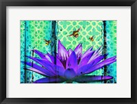 Framed Water Lilly