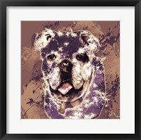 Framed Bulldog