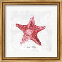 Framed 'Red Starfish' border=