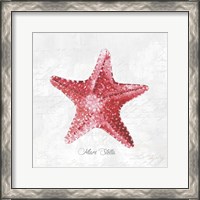 Framed 'Red Starfish' border=