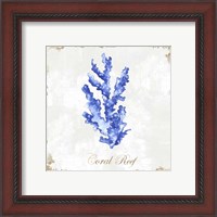 Framed 'Blue Sea Coral' border=