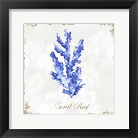 Framed 'Blue Sea Coral' border=