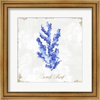 Framed 'Blue Sea Coral' border=