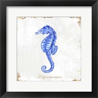 Framed 'Blue Sea Horse' border=