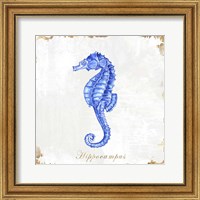 Framed 'Blue Sea Horse' border=