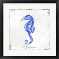 Blue Sea Horse Framed Print