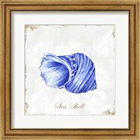 Framed 'Blue Seashell' border=