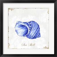 Framed 'Blue Seashell' border=