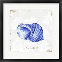 Blue Seashell Framed Print