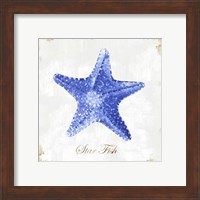 Framed 'Blue Starfish' border=