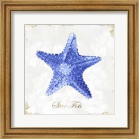 Framed 'Blue Starfish' border=