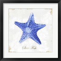 Framed 'Blue Starfish' border=