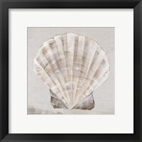 Framed 'Neutral Shells II' border=