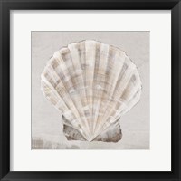 Neutral Shells II Framed Print