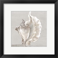 Framed 'Neutral Shells III' border=