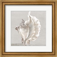 Framed 'Neutral Shells III' border=