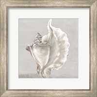 Framed Neutral Shells III