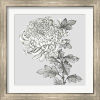 Framed 'Grey Botanical I' border=