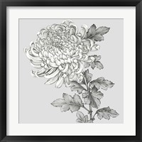 Framed 'Grey Botanical I' border=