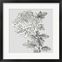 Framed Grey Botanical I