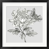 Framed 'Grey Botanical II' border=