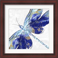 Framed 'Blue Dragonfly' border=