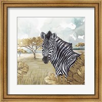 Framed 'Golden Zebras' border=