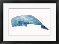 Whale Framed Print