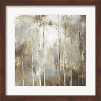 Framed Fine Birch I