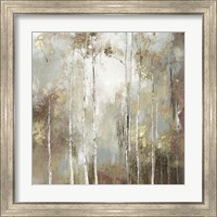 Framed 'Fine Birch I' border=