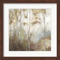 Framed 'Fine Birch II' border=