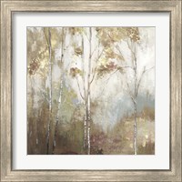 Framed 'Fine Birch II' border=