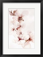 Watercolor Blossoms II Framed Print