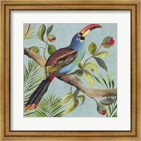 Framed 'Paradise Toucan I' border=