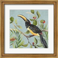 Framed 'Paradise Toucan II' border=