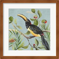 Framed Paradise Toucan II