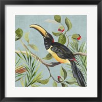 Paradise Toucan II Framed Print