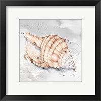 Framed 'Blush Shell I' border=