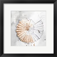 Framed 'Blush Shell II' border=