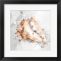 Blush Shell III Framed Print