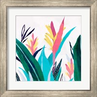 Framed 'Alpinia I' border=