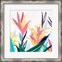 Framed 'Alpinia II' border=