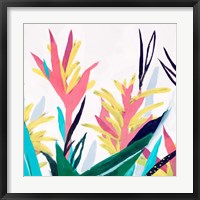 Framed 'Alpinia II' border=