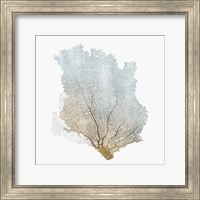 Framed Delicate Coral I